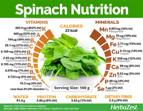 spinach calories